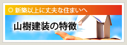 山樹建装の特徴